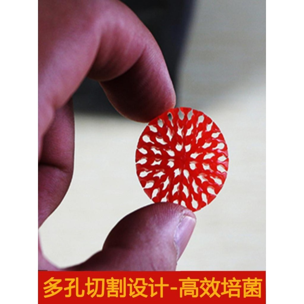 買多送多【新莊/五股/青島水族】1顆 5倍培菌生化球 五倍培菌生化球 巴比倫翻滾培菌濾材 黑色/紅色生化球 培菌球-細節圖7