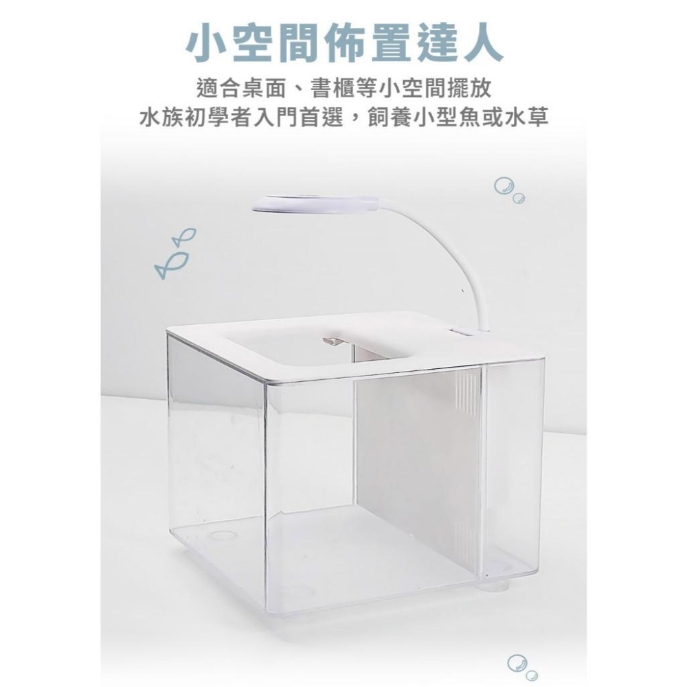 5色可選【新莊/五股/青島水族】小螃蟹 懶人背濾缸 燈色可調 含USB夾燈.馬達.濾棉 懶人魚缸 小魚缸 背濾套缸-細節圖2