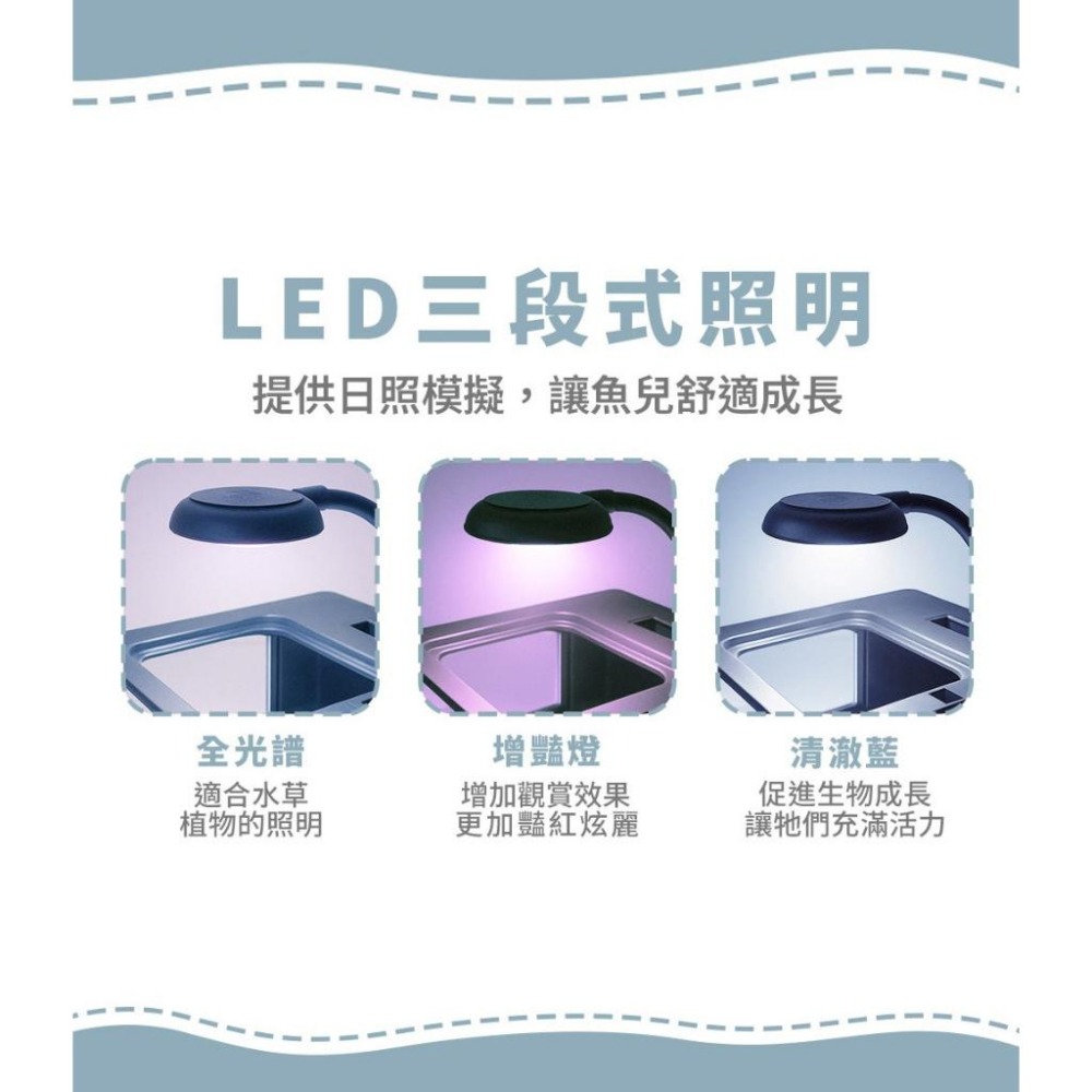 5色可選【新莊/五股/青島水族】小螃蟹 懶人背濾缸 燈色可調 含USB夾燈.馬達.濾棉 懶人魚缸 小魚缸 背濾套缸-細節圖3