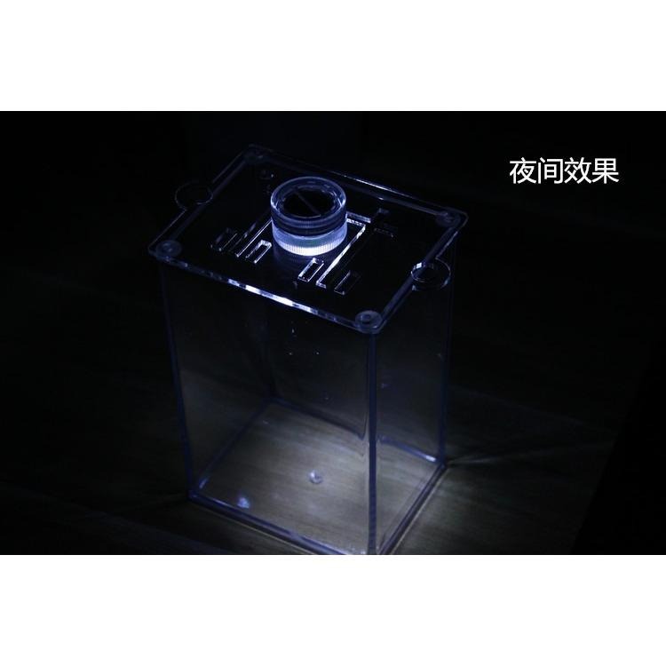 【新莊/五股/青島水族】鬥魚缸 二代 積木缸 繁殖盒 迷你缸 超迷你 LED 燈 (裝電池)-細節圖2