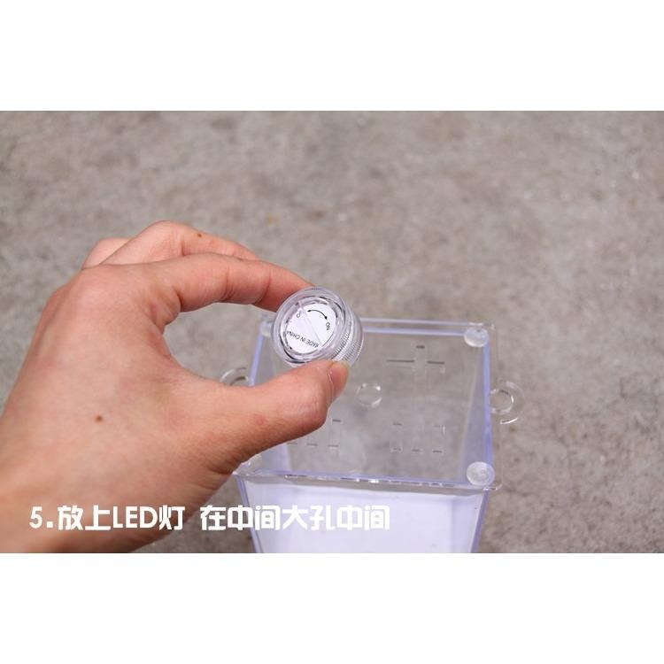 【新莊/五股/青島水族】鬥魚缸 二代 積木缸 繁殖盒 迷你缸 超迷你 LED 燈 (裝電池)-細節圖3