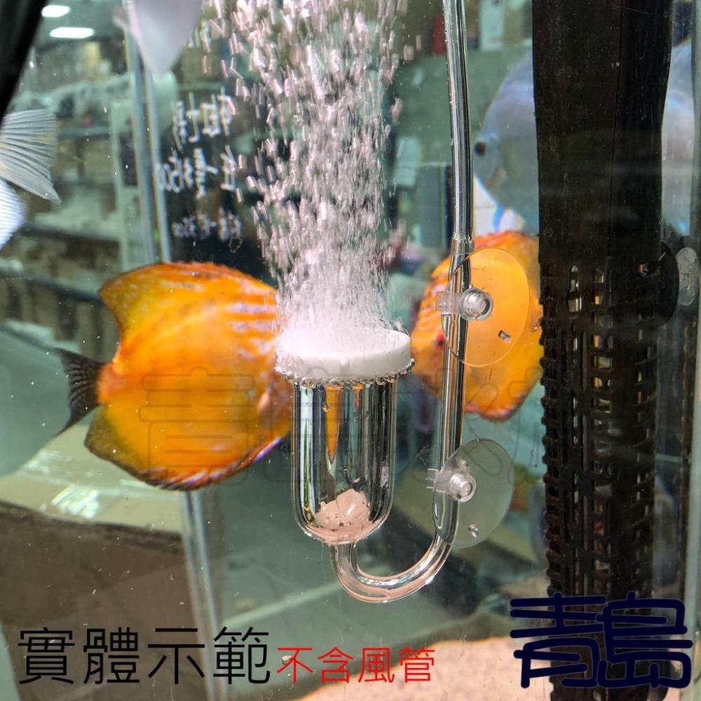 【青島水族】低壓 奈米=34mm附配件=玻璃溶氧細化器 霧化氣泡石 空氣細化器 空氣馬達 打氣機用 F-355-細節圖3