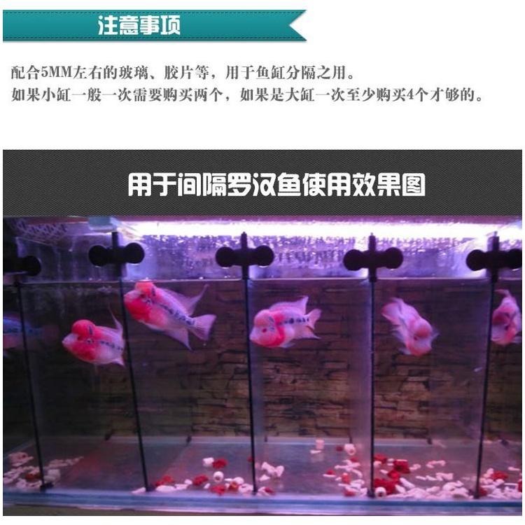 台製【新莊/五股/青島水族】隔離板夾(附吸盤)DIY配管小零件=隔板吸盤 夾式吸盤 隔離板 隔板 吸盤夾-細節圖6