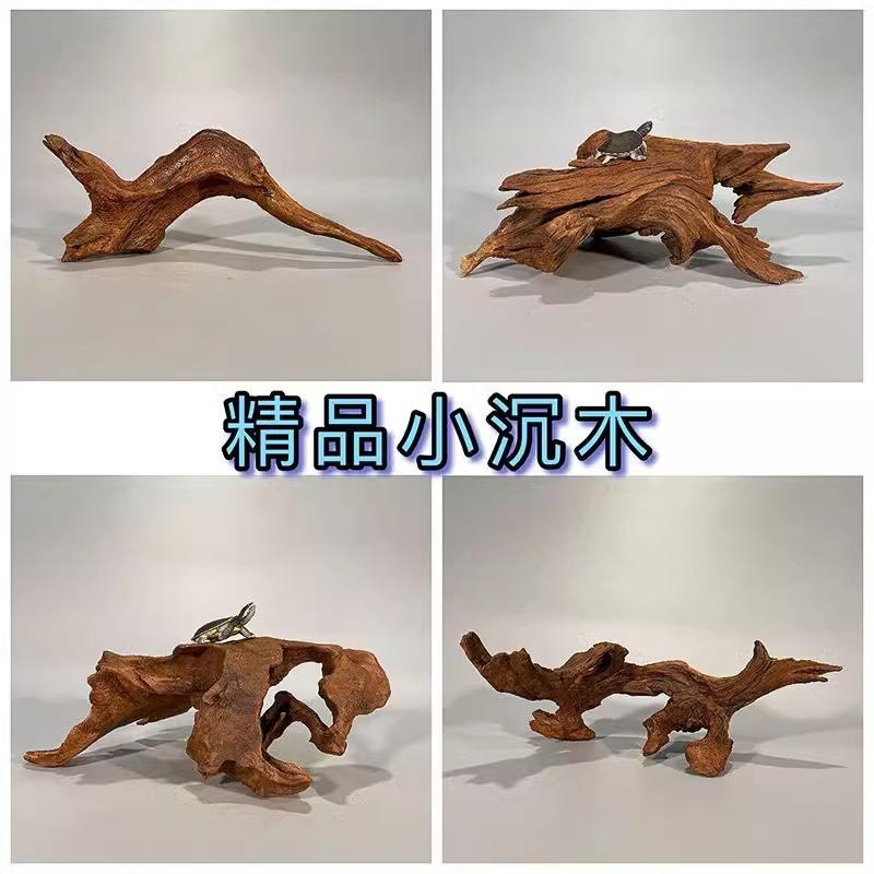 【特級/紫柚木】【新莊/五股/青島】天然沉木= 紫柚木/支岔沉木/象牙木=流木 木材 造景裝飾  昆蟲箱 爬蟲箱 水草-細節圖3