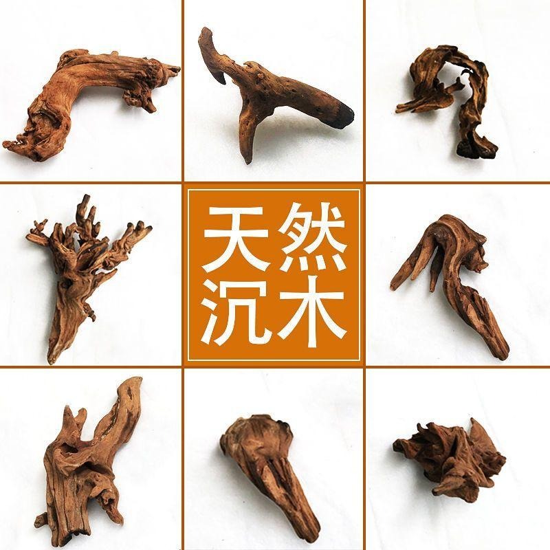 【特級/紫柚木】【新莊/五股/青島】天然沉木= 紫柚木/支岔沉木/象牙木=流木 木材 造景裝飾  昆蟲箱 爬蟲箱 水草-細節圖4