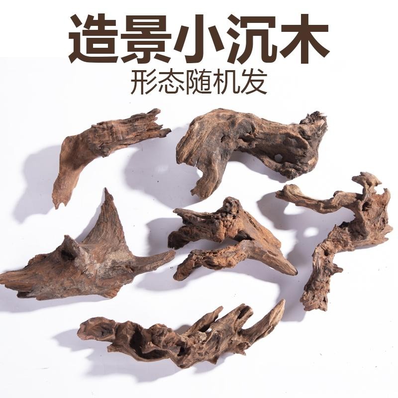 【特級/紫柚木】【新莊/五股/青島】天然沉木= 紫柚木/支岔沉木/象牙木=流木 木材 造景裝飾  昆蟲箱 爬蟲箱 水草-細節圖5