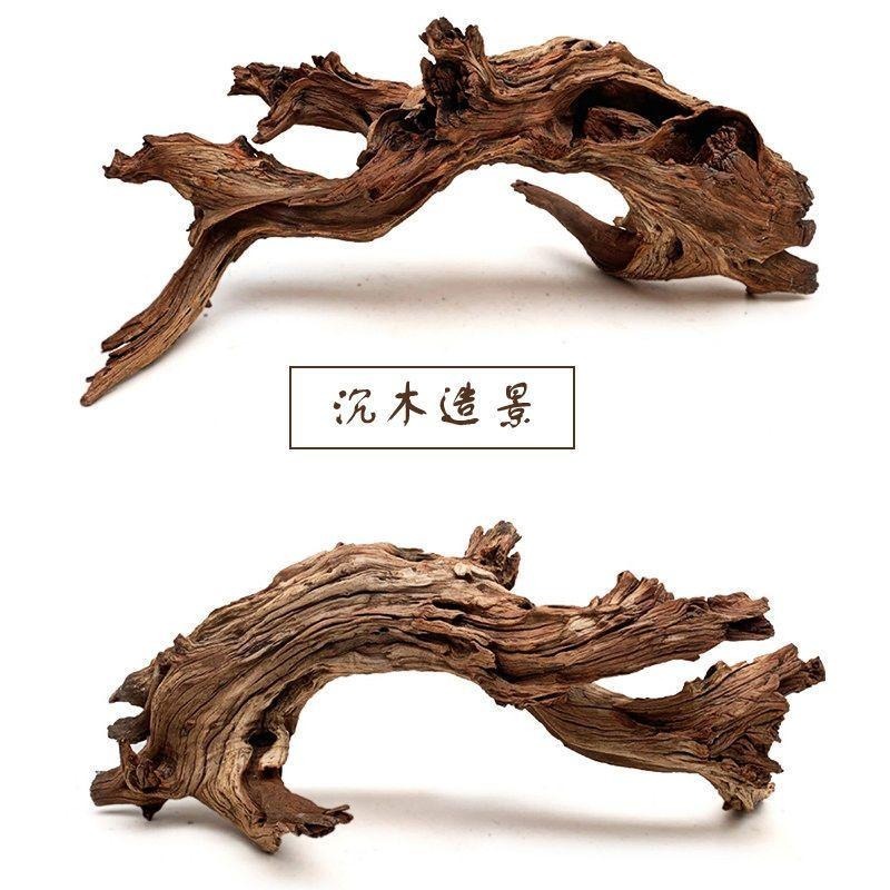 【特級/紫柚木】【新莊/五股/青島】天然沉木= 紫柚木/支岔沉木/象牙木=流木 木材 造景裝飾  昆蟲箱 爬蟲箱 水草-細節圖6