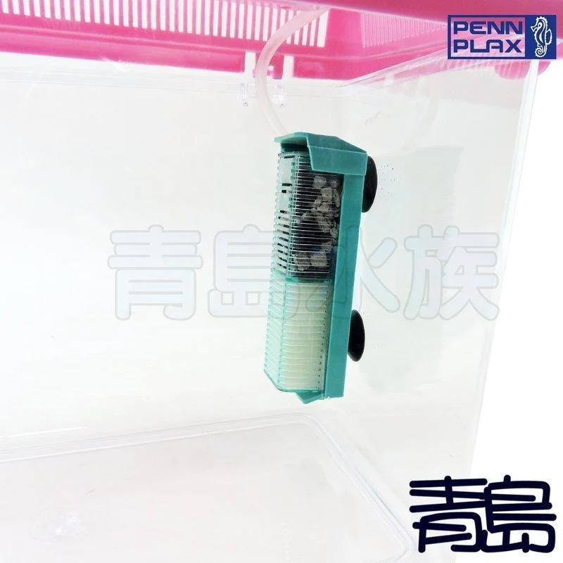 掌心水妖精【青島水族】美國PENN-PLAX龐貝 鬥魚缸用 小型水中過濾器 =水妖精/專用替換濾材2入= VENY＇S-細節圖6