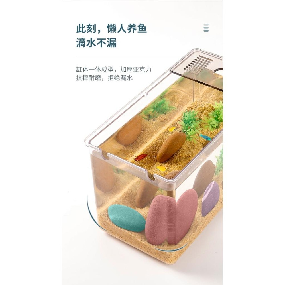 雙重過濾【青島水族】桌面型魚缸 帶上部過濾槽 水族箱 生態缸 迷你魚缸 辦公室魚缸 鬥魚缸 玻璃魚缸 桌缸 桌上型魚缸-細節圖2