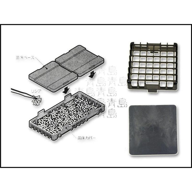 【青島水族】日本SUDO－－－－－－-鹿角苔苗育成器(繁殖盒)=S-5880 S型  S-5885 M型-細節圖3