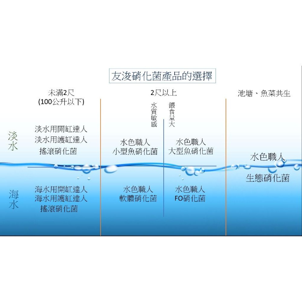 【五股/新莊/青島水族】台灣友浚 水色職人-肉食&大型魚缸硝化菌 20G/80G 適中大型魚、金魚 培菌 開缸 池塘-細節圖3