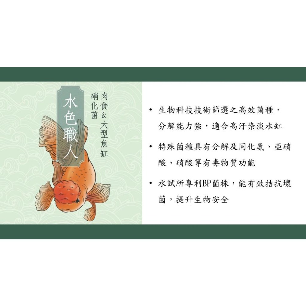 【五股/新莊/青島水族】台灣友浚 水色職人-肉食&大型魚缸硝化菌 20G/80G 適中大型魚、金魚 培菌 開缸 池塘-細節圖5