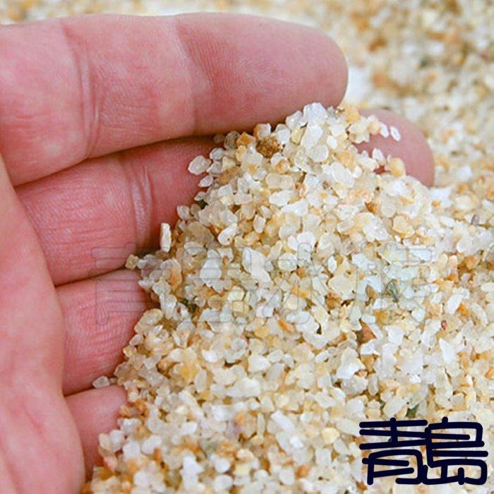 【新莊/五股/青島水族】日本SUDO 川魚砂 1kg 天然砂礫 觀賞魚 池塘河砂 造景底沙 溪魚 底沙 水草 河川魚-細節圖3