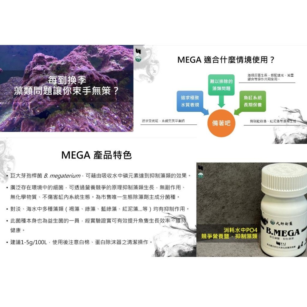 【五股/新莊/青島】台灣友浚 大師計畫 D.FIVE/Var.NATTO/B.MEGA 淨水 魚缸澄清 除臭 硝化菌搭配-細節圖4