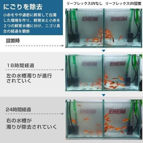 台灣出貨【新莊/五股/青島水族】德國EHEIM UV紫外線外置式殺菌燈 綠水剋星 細菌剋星 (德製日版)-細節圖8