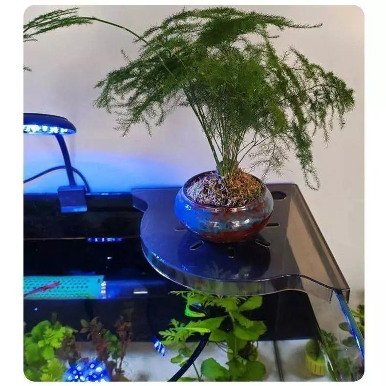 魚缸轉角置物架/水培籃【新莊/五股/青島水族】魚缸轉角儲物架 收納 免安裝收納節省空間 魚缸託盤-細節圖5