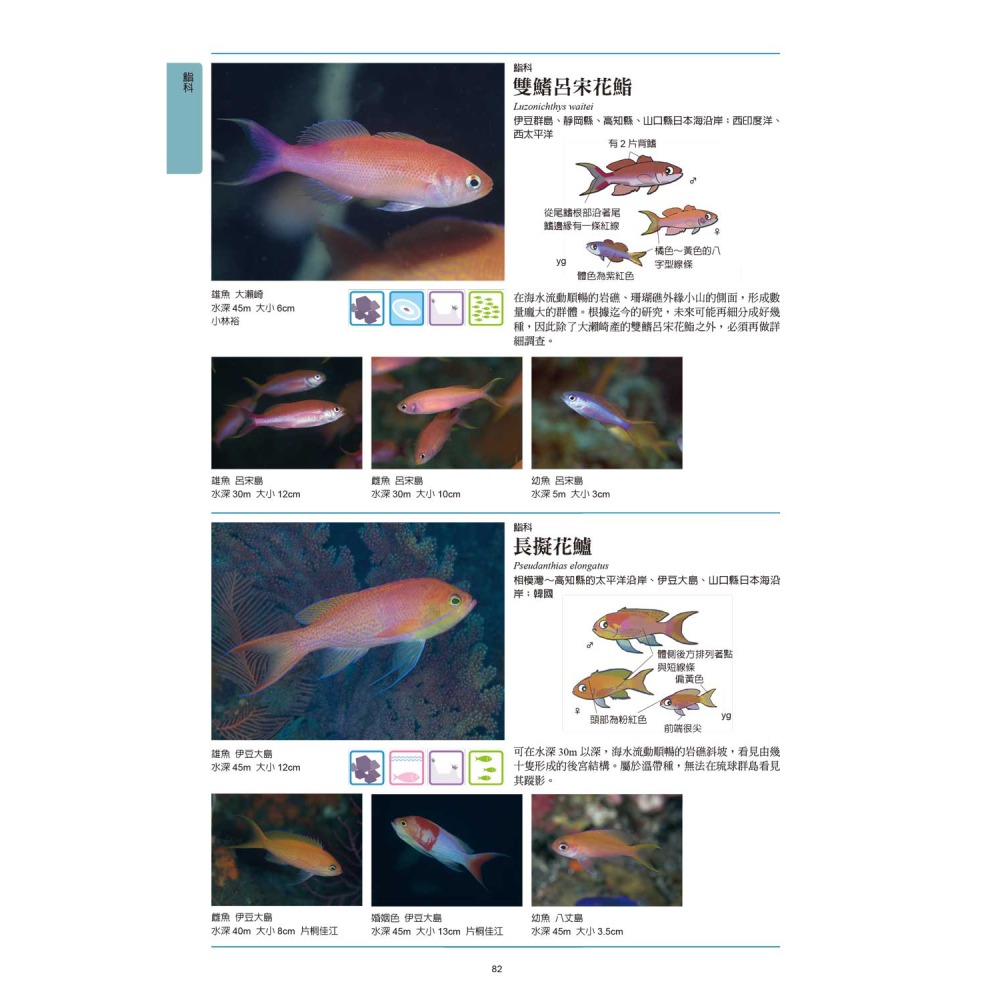 海水魚圖鑑-細節圖4