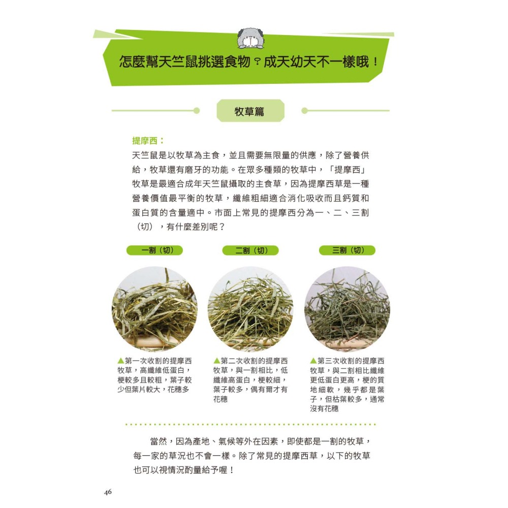 快樂天竺鼠完全飼育指南：從飼養方法到照護指引，最完整的全方位圖解小百科-細節圖7