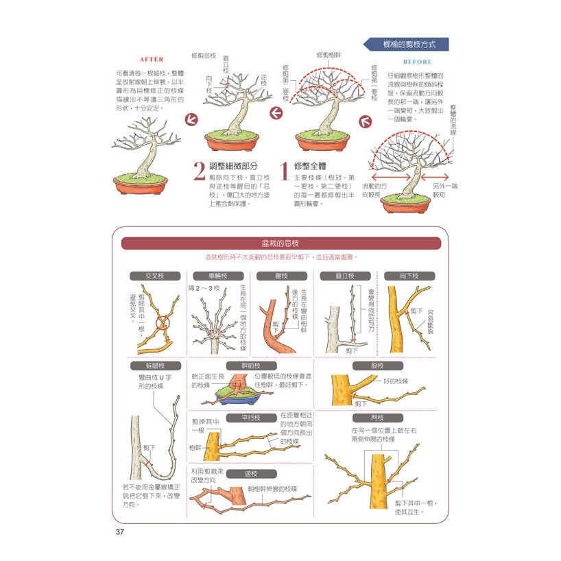 圖解盆栽技法-細節圖7
