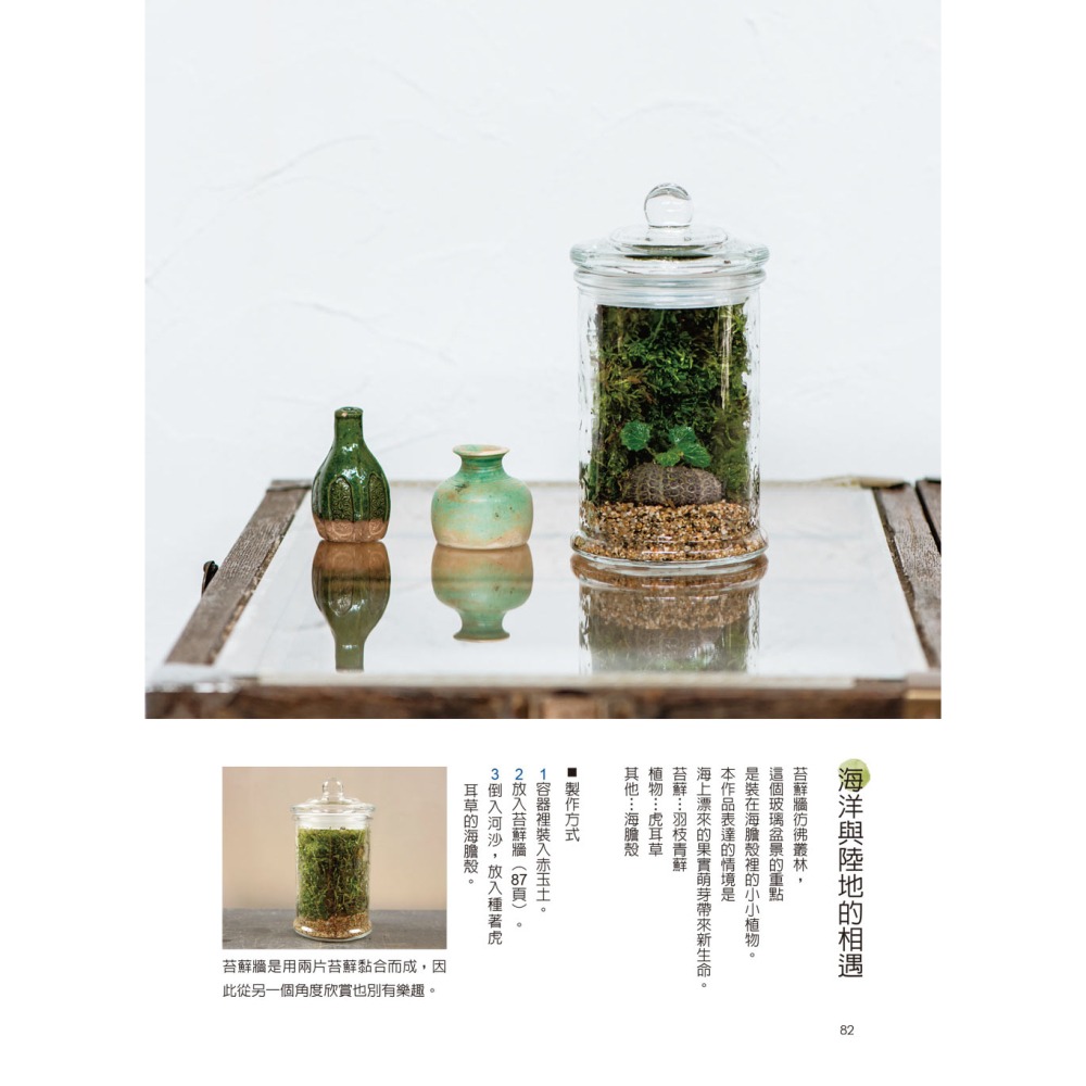 苔蘚盆景＆微景觀生態瓶ＤＩＹ-細節圖8