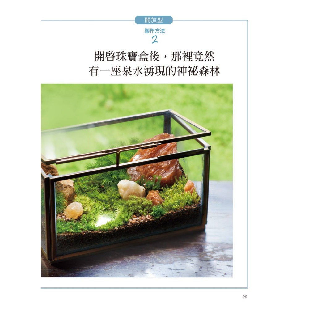 苔蘚玻璃盆景-新手入門-細節圖9