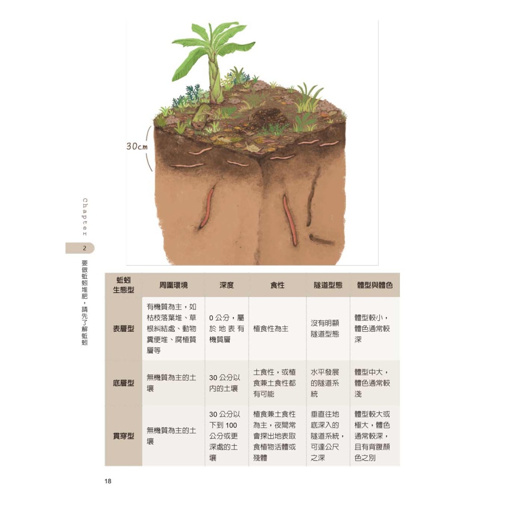 超詳解蚯蚓堆肥製作與利用-細節圖4