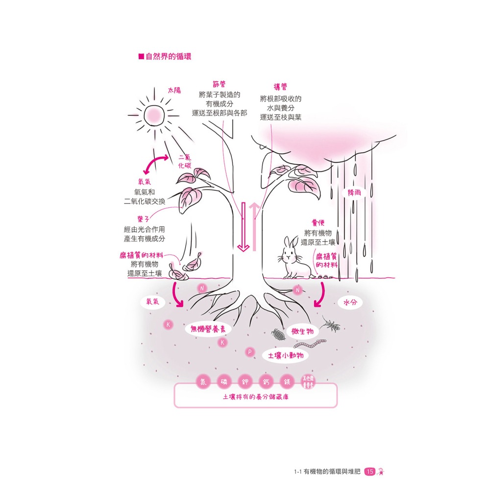 超圖解 堆肥、綠肥的基礎知識＆實用製作法(修訂版)-細節圖4