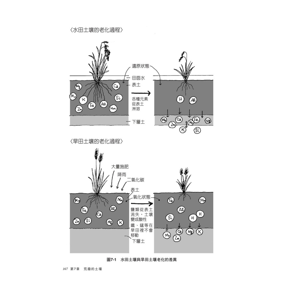 土壤的基礎知識【超圖解】-細節圖3