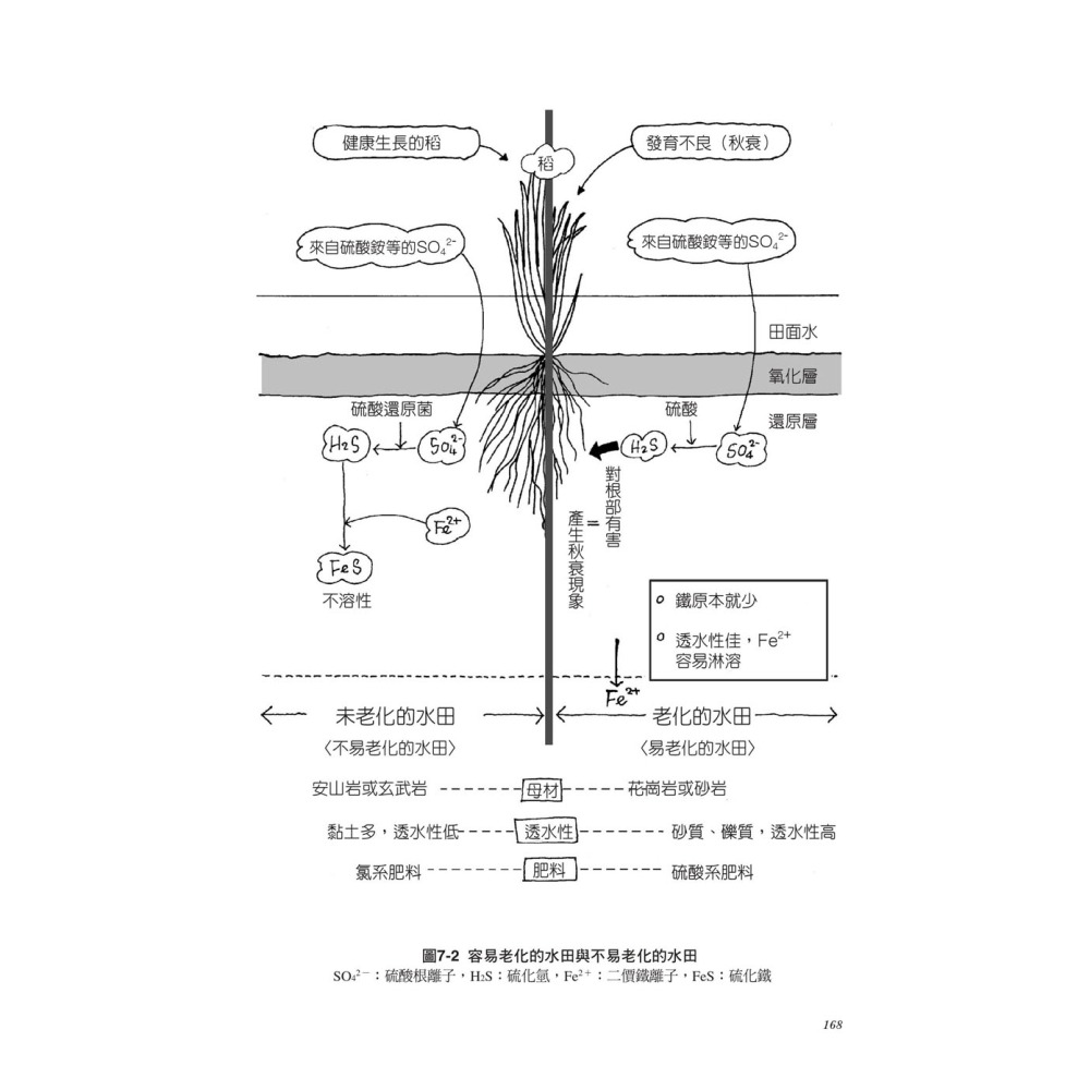 土壤的基礎知識【超圖解】-細節圖4