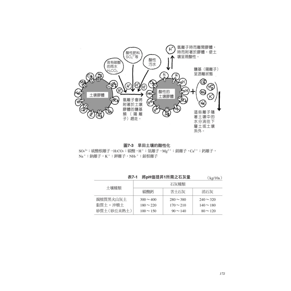 土壤的基礎知識【超圖解】-細節圖8