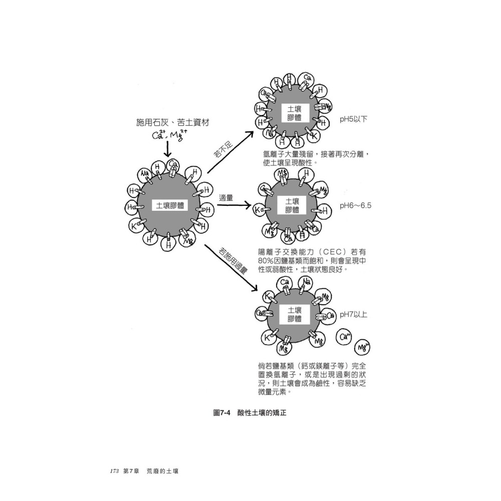 土壤的基礎知識【超圖解】-細節圖9