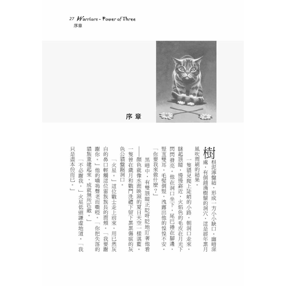 貓戰士暢銷紀念版-三部曲套書-細節圖8