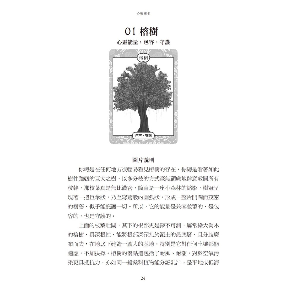 心靈樹卡：療癒．靜心．占卜【新版】（41張樹卡＋牌卡使用解說書）-細節圖5