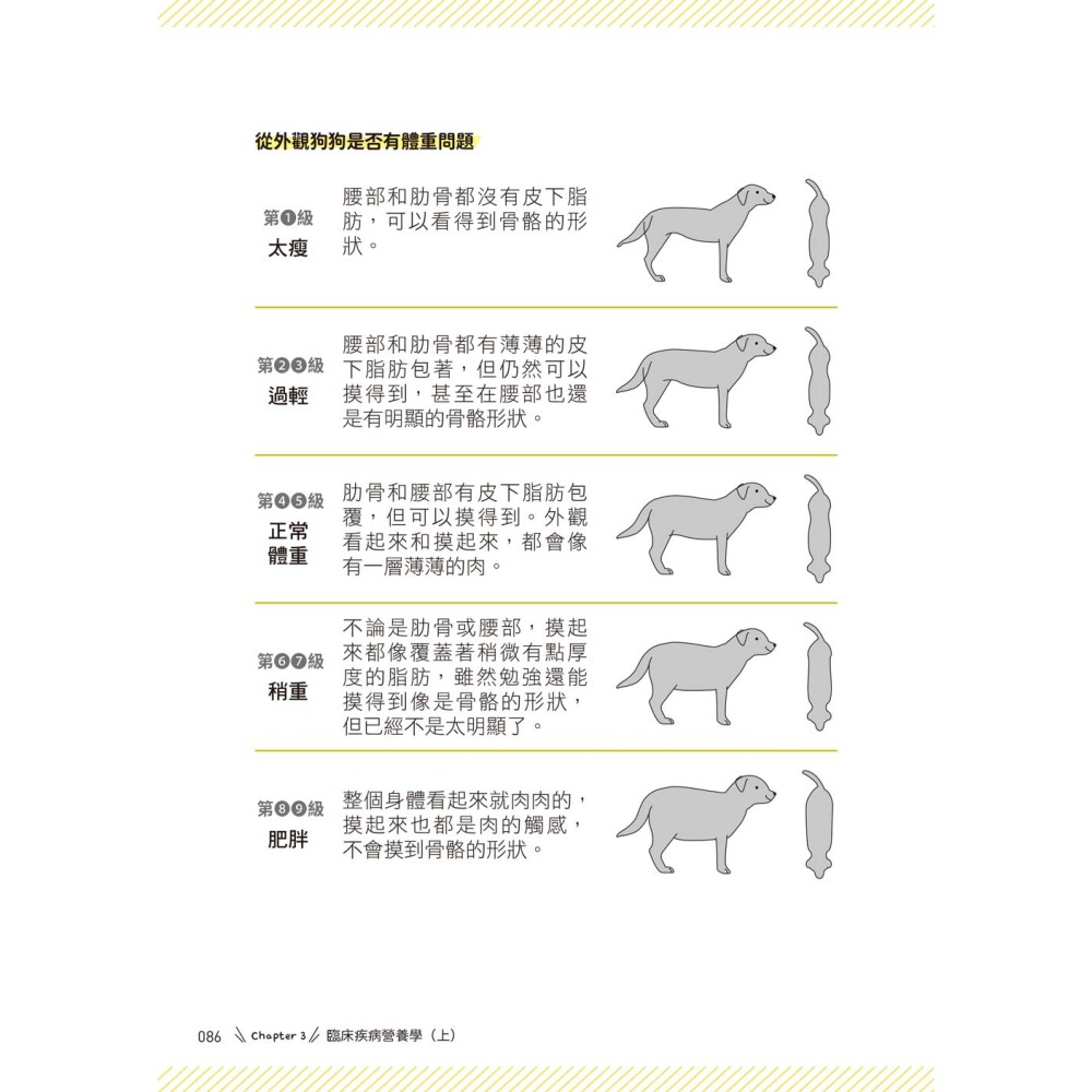 貓狗營養學：掌握毛小孩飲食營養需求，正確選擇食物、改善疾病症狀-細節圖8