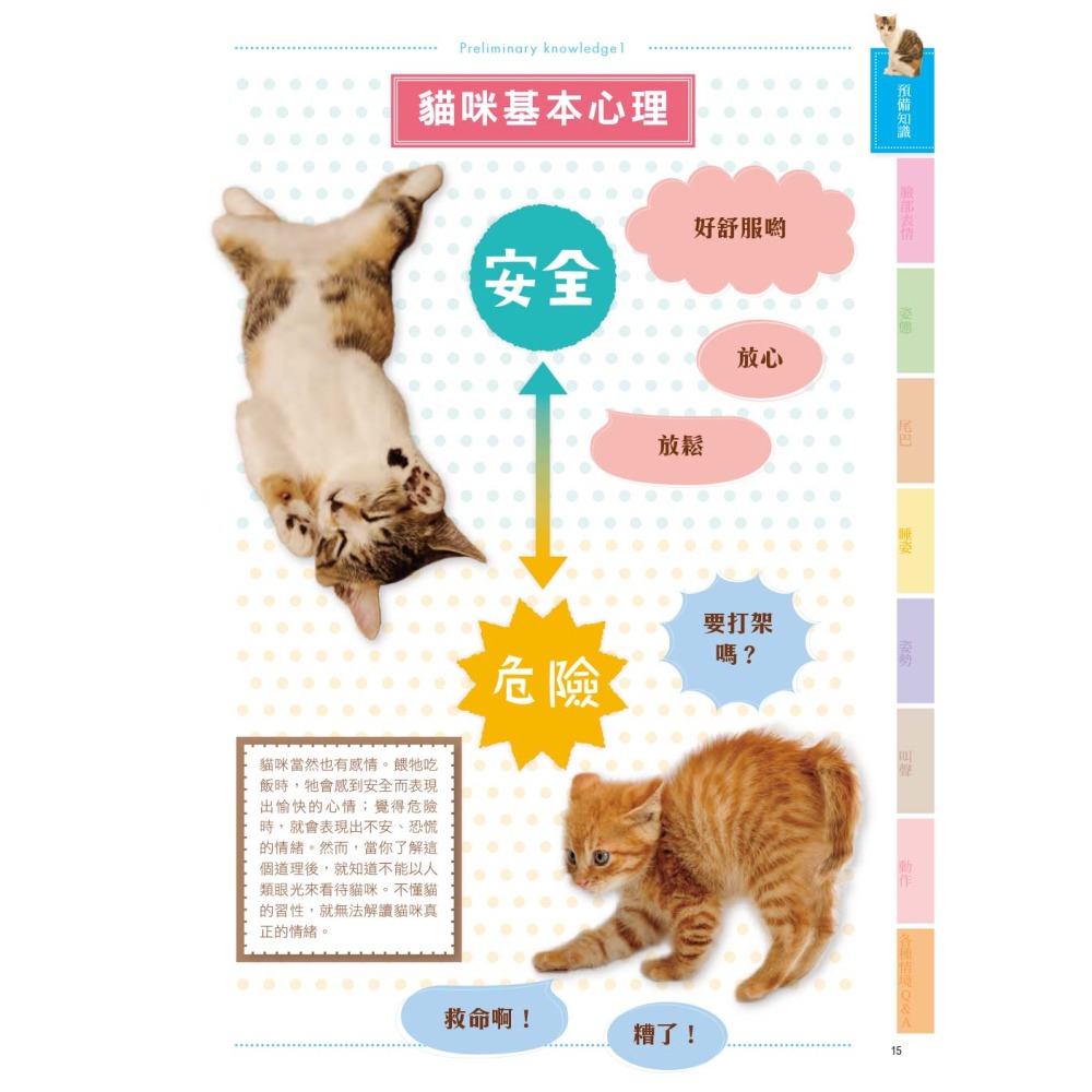 貓語大辭典：收錄超過130項貓語解說，讓你深入了解貓咪的行為和溝通方式-細節圖3