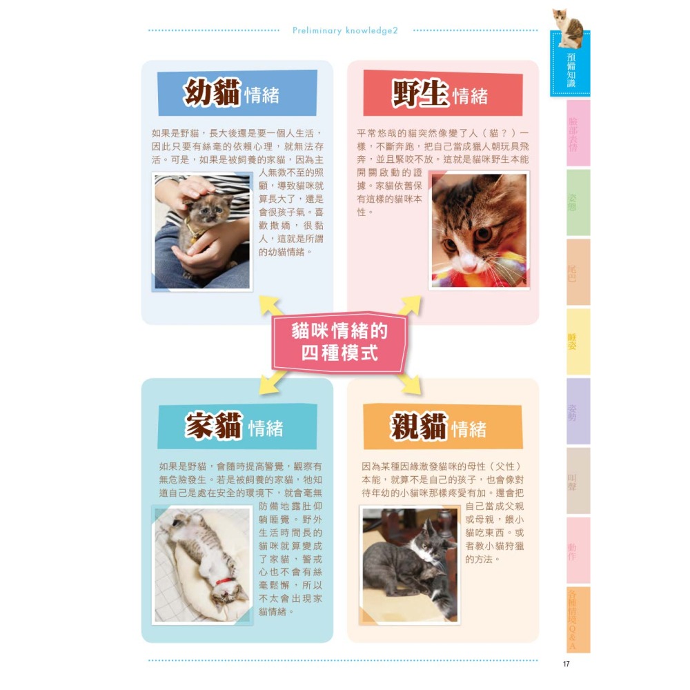 貓語大辭典：收錄超過130項貓語解說，讓你深入了解貓咪的行為和溝通方式-細節圖5