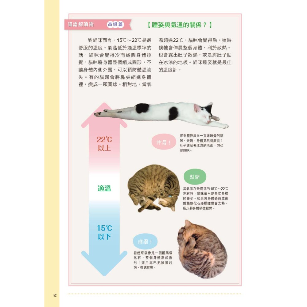 貓語大辭典：收錄超過130項貓語解說，讓你深入了解貓咪的行為和溝通方式-細節圖9