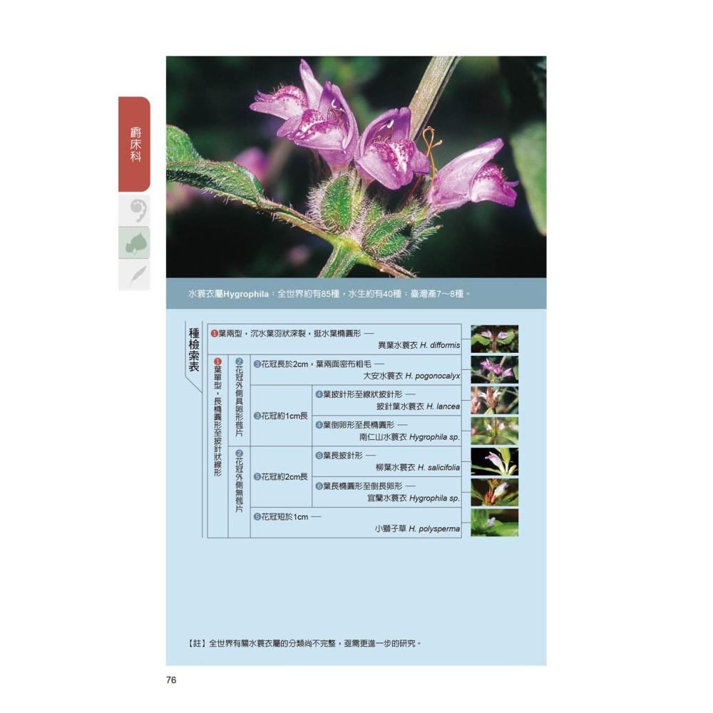 臺灣水生植物圖鑑-增訂版-細節圖3