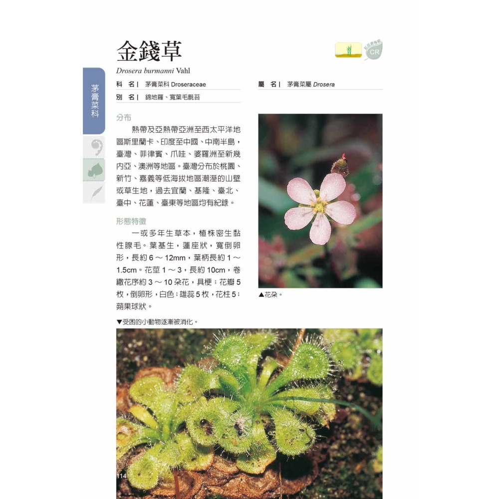 臺灣水生植物圖鑑-增訂版-細節圖4