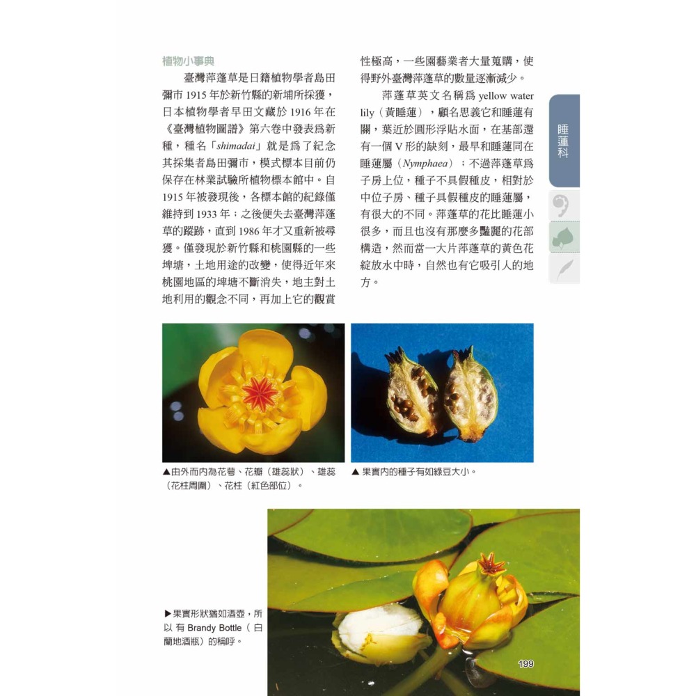 臺灣水生植物圖鑑-增訂版-細節圖8