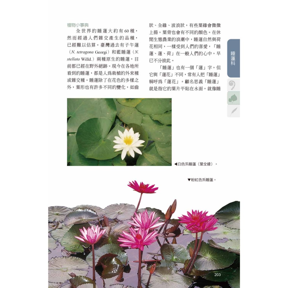 臺灣水生植物圖鑑-增訂版-細節圖9