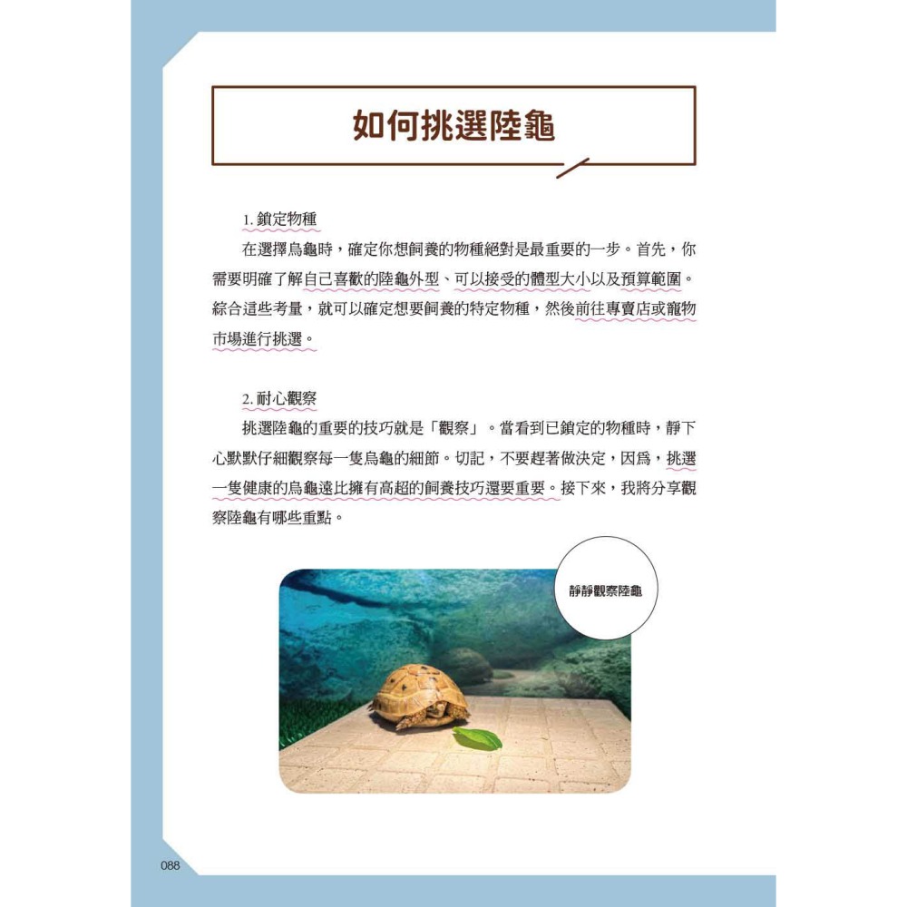 陸龜飼養指南：從挑選、飼養環境、餵食到繁殖，打造幸福陸龜生活的完整飼育手冊！-細節圖9