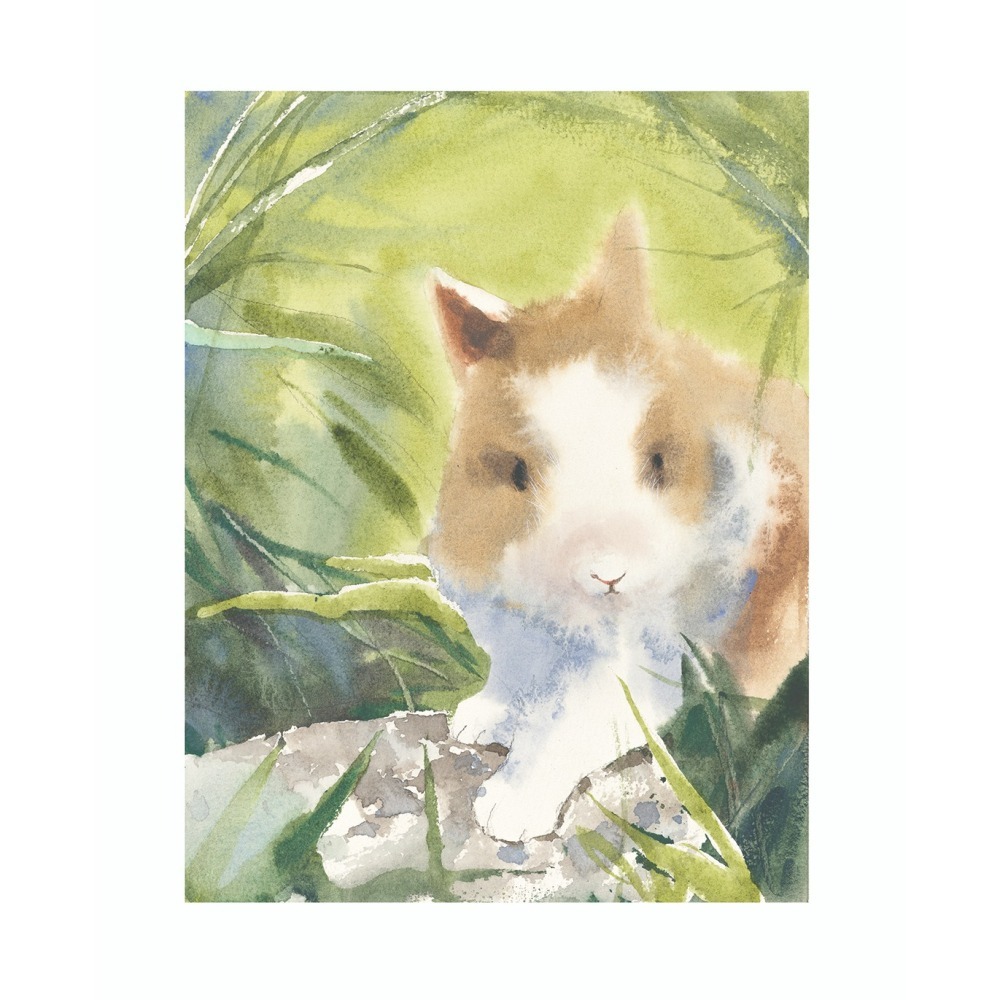 一定 一定 要來接我喔！-細節圖4