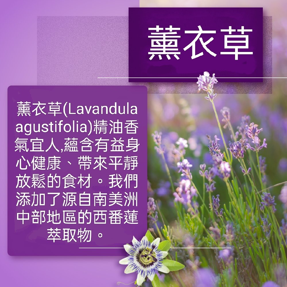 🇩🇪德國百年草本聖伯納德Sanct Bernhard薰衣草神經舒壓膠囊120顆(2~4 個月用量)-細節圖10