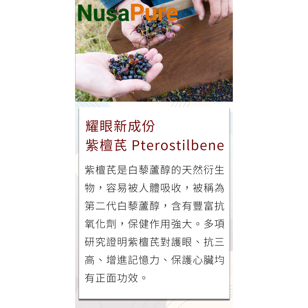美國NusaPure強效紫檀芪優質提取物150mg 180顆素食非基改無麩質-細節圖5
