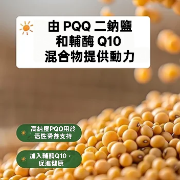 美國自然鐘NatureBell 高生物利用度ZenPQQ+ 複方膠囊含CoQ10，240 粒素食 非基改造-細節圖2