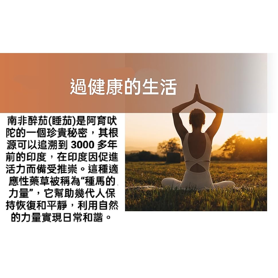 美國自然鐘NatureBell高強度高吸收率南非醉茄12,500 mg240 粒~放鬆適應原補充劑 - 非基改-細節圖5