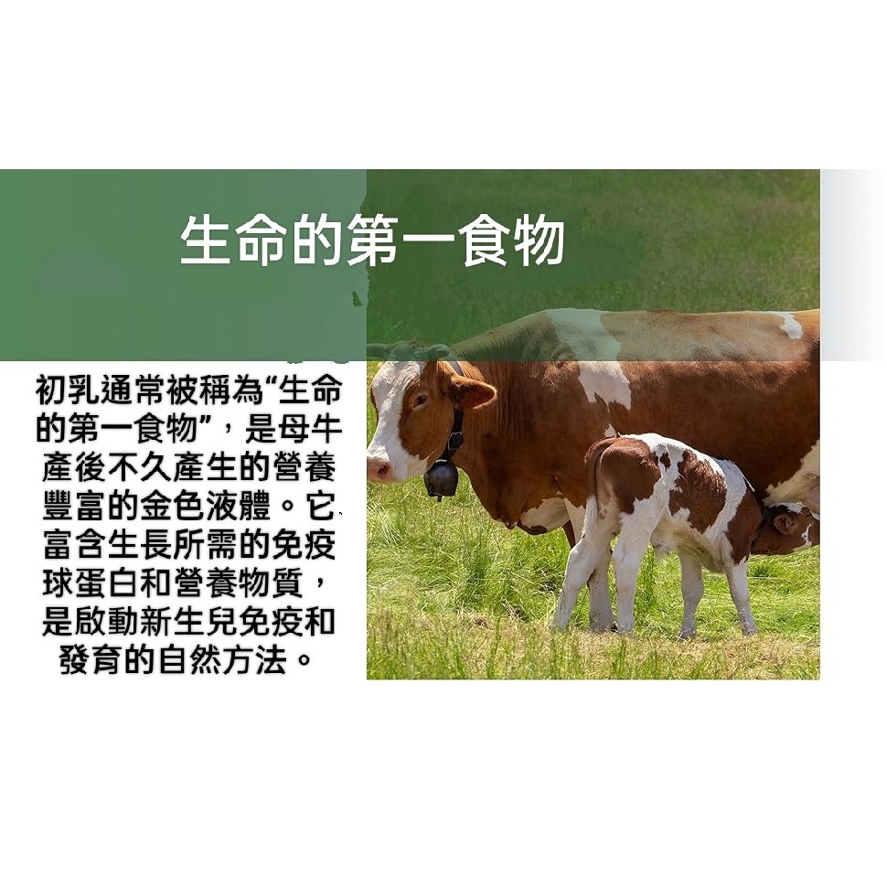 美國自然鐘NatureBell草飼牛初乳1,000mg. 40% IgG 免疫球蛋白~肌肉、免疫和腸道健康補充劑 – 非-細節圖4