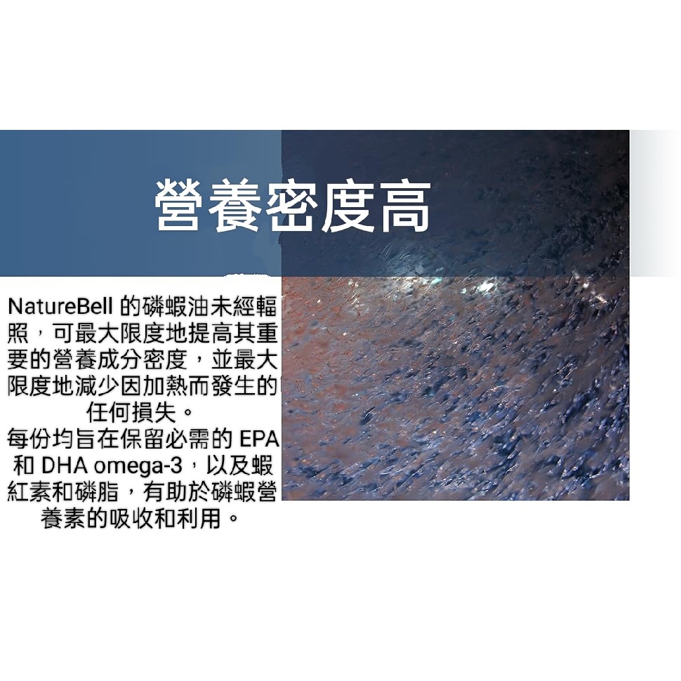 美國自然鐘NatureBell超強南極磷蝦油2000mg 240粒無魚腥味無汞非基轉-細節圖5