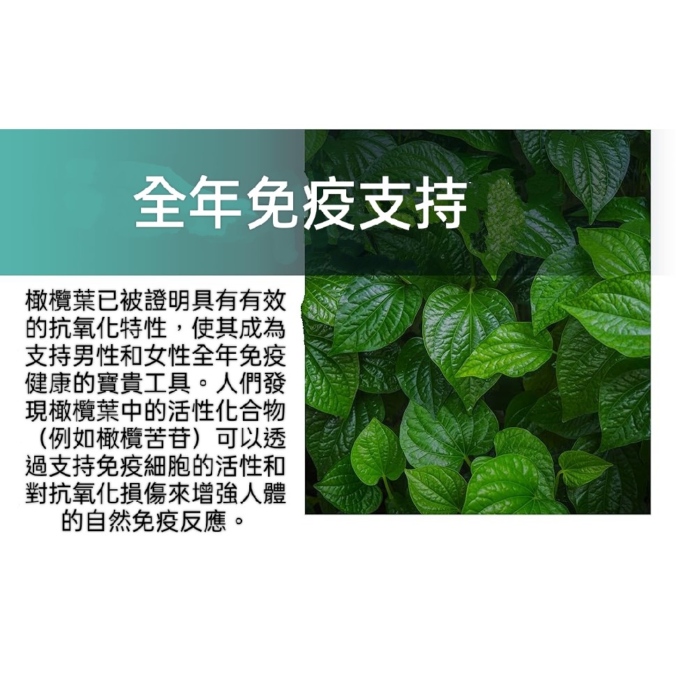 美國自然鐘NatureBell 高強度橄欖葉萃取物30000mg240 粒膠囊非基改-細節圖5